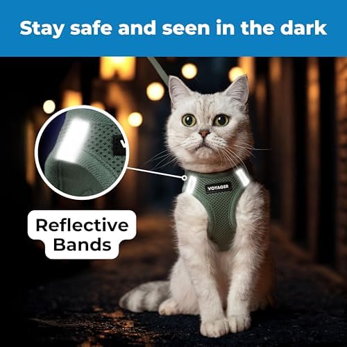 Voyager Step-in Air Cat Harness & Leash Set - Image 4