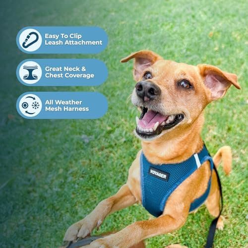Best Pet Supplies Voyager Step-in Air All Weather Mesh Harness and Reflective - Image 6