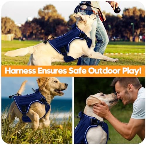 Heavy-Duty Tactical Dog Harness - Image 6