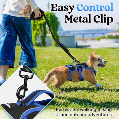 rabbitgoo Escape Proof Dog Harness - Image 6