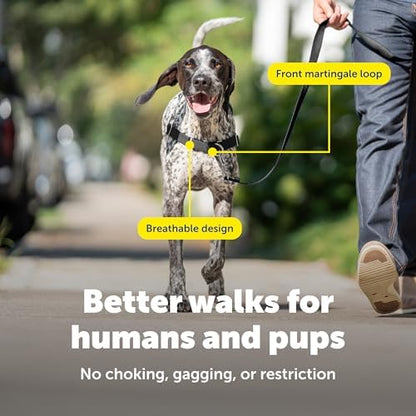 PetSafe Easy Walk Harness, No Pull Dog Harness - Image 4