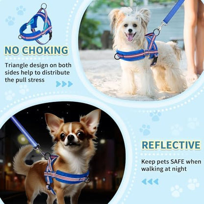 SlowTon No Pull Small Dog Harness and Leash Set - Image 3