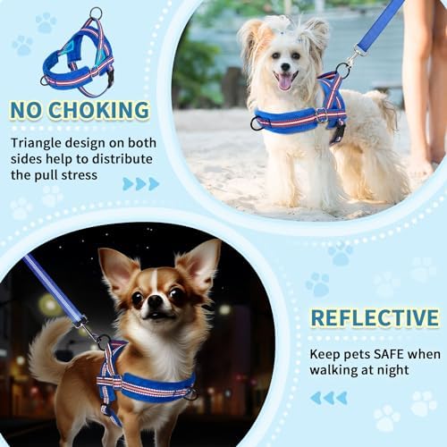 SlowTon No Pull Small Dog Harness and Leash Set - Image 3