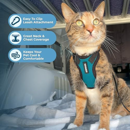 Voyager Step-in Lock Cat Harness & Leash Set - Image 5