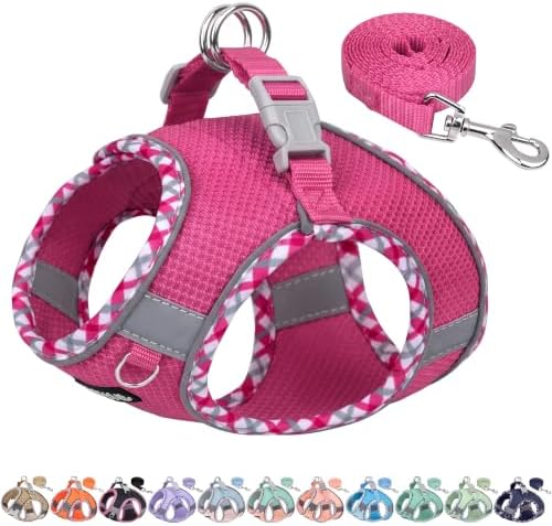 AIITLE Breathable Dog Harness Small Sized and Leash Set by AIITLE-FORPETSBETTERLIFE