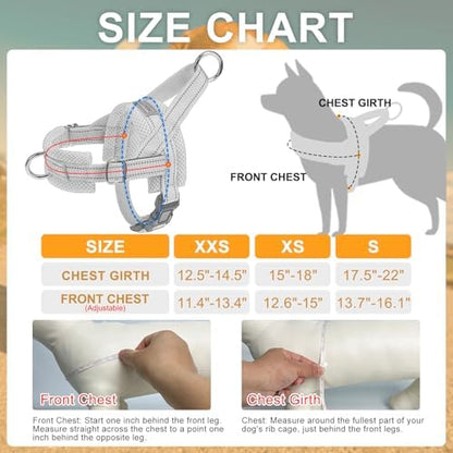 BEAUTYZOO Small Dog Harness and Leash Set, No Pull Step in Puppy Vest - Image 2