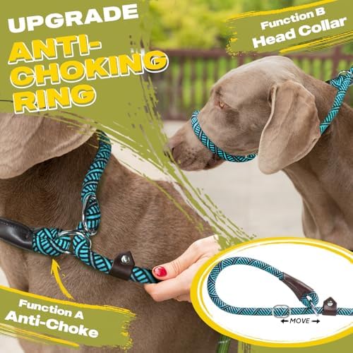 Fida Slip Lead Dog Leash 5 Pack, 6 FT x 1/2" Dog Training Leash - Image 3