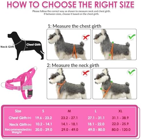 SlowTon No Pull Dog Harness and Leash Set - Image 6
