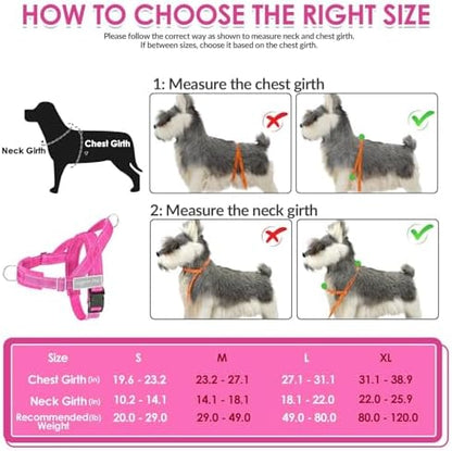SlowTon No Pull Dog Harness and Leash Set - Image 6
