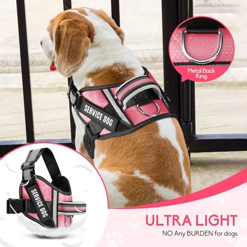 Service Dog Vest Harness and Leash Set, Animire in Training Dog Harness - Image 3