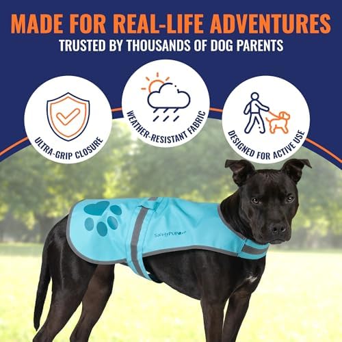 Reflective Dog Vest, Hi Vis Safety Gear - Image 4