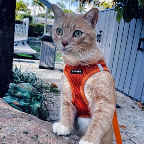 Voyager Step-in Air Cat Harness & Leash Set - Image 6
