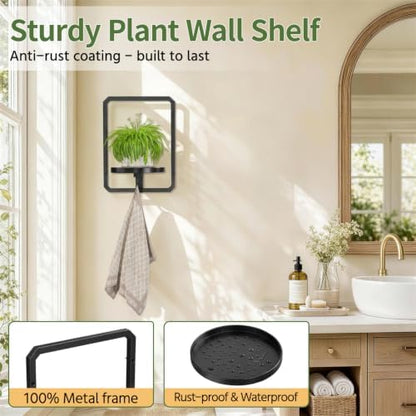 LASZOLA Plant Picture Frame Holder Shelf Wall Window Indoor - Image 6
