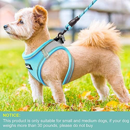 haapaw Dog Harness with Leash Set, No Pull Adjustable Reflective Step-in Puppy - Image 4