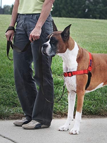 Petsafe Deluxe Easy Walk Harness, Rose Pink - Image 2