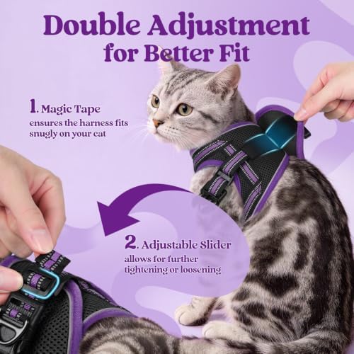 rabbitgoo Cat Harness and Leash Set, Step-in Soft Vest - Image 3