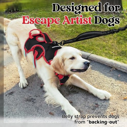 rabbitgoo Escape Proof Dog Harness - Image 2