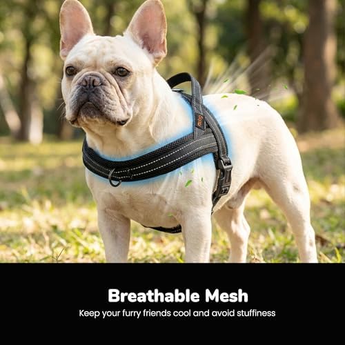 Didog No Pull Dog Harness for Small Dogs, Breathable Mesh Padded - Image 2