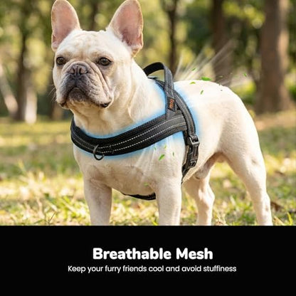 Didog No Pull Dog Harness for Small Dogs, Breathable Mesh Padded - Image 2