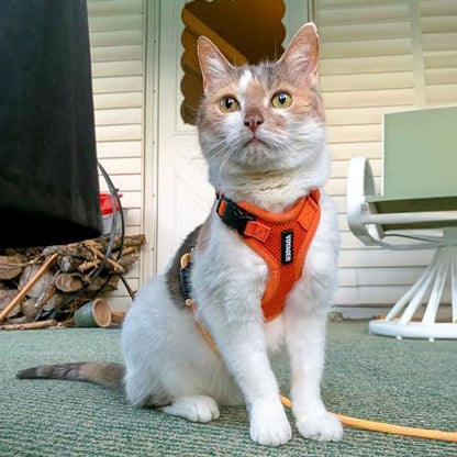 Voyager Step-in Lock Cat Harness & Leash Set - Image 6