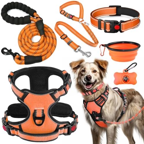 LOBEVE No Pull Dog Harness, Collar & Leash Set by Lovebegetslove