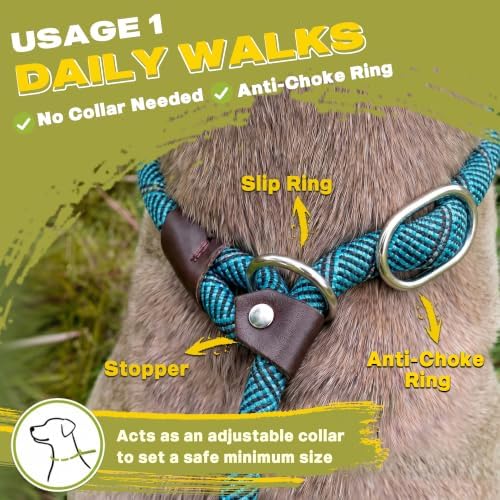 Fida Slip Lead Dog Leash 5 Pack, 6 FT x 1/2" Dog Training Leash - Image 4