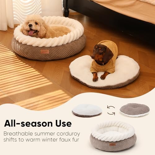FUKUMARU Cute Cat Bed, 25in Large Round Cat Beds - Image 4