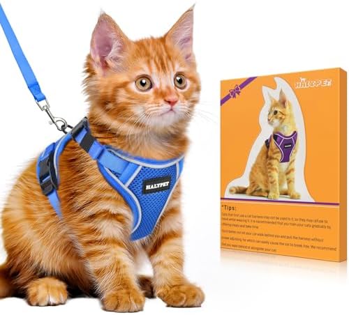 Cat Harness and Leash Set, Escape Proof Kitten Harness by DOMoreWithYourPet