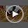 Migipaws Interactive MigiMouse Cat Toy 360° Rolling & Spin - Image 7