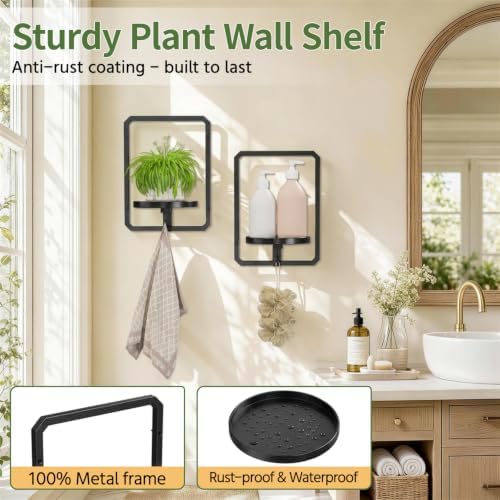 LASZOLA Plant Picture Frame Holder Shelf Wall Window Indoor - Image 6