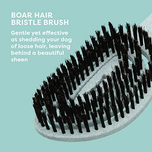 BioSilk for Dogs Eco-Friendly Boar Hair Bristle Brush - Image 4