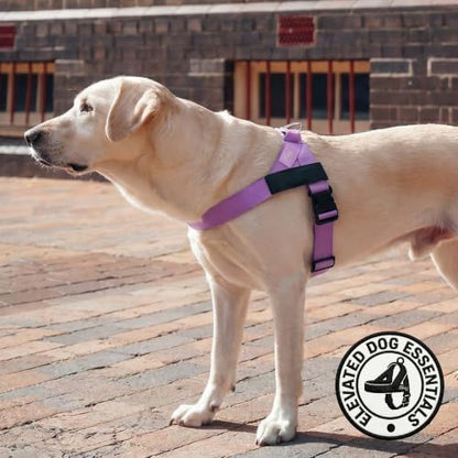 Dog Friendly Co. Dog Harness for Large Breeds - Image 5
