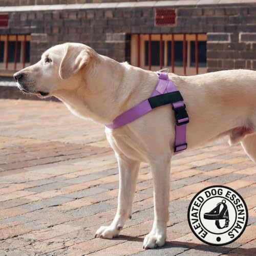 Dog Friendly Co. Dog Harness for Small Dogs - Image 6