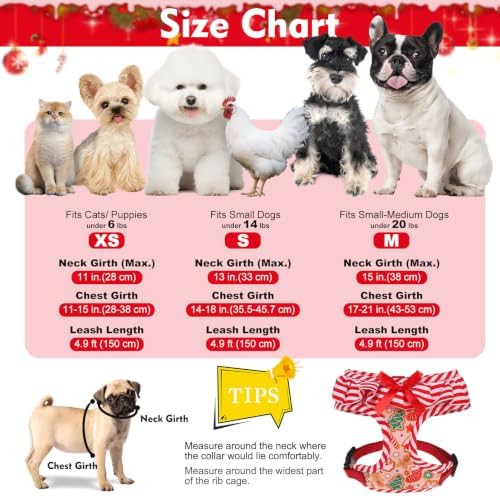 EXPAWLORER Christmas Dog Harness and Leash Set Small Sized - Image 2