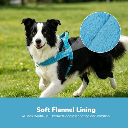 Didog No Pull Dog Harness for Medium Dogs, Soft Flannel Padded - Image 2