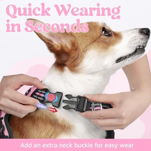 rabbitgoo Dog Harness for Large, No Pull 3 Buckles Easy On & Off - Image 2
