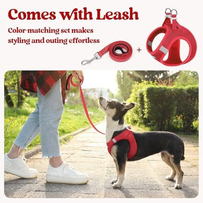 rabbitgoo Dog Harness Small Sized and Leash Set, Step-in Puppy Pet Vest - Image 5