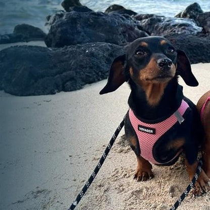 Voyager Step-in Air Dog Vest Harness - Image 2