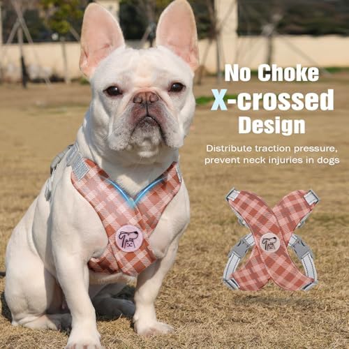 Pawaboo Small Dog Harness and Leash Set, Puppy Harness X-Frame Adjustable - Image 3