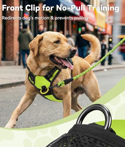 Joytale No Pull Dog Harness Medium Sized Dog, Front Clip - Image 2