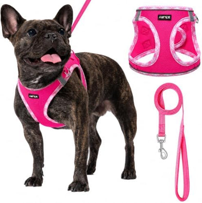 AMTOR Small Dog Harness with Leash Set, No Escape Easy Walk Puppy Harnesses by AMTOR