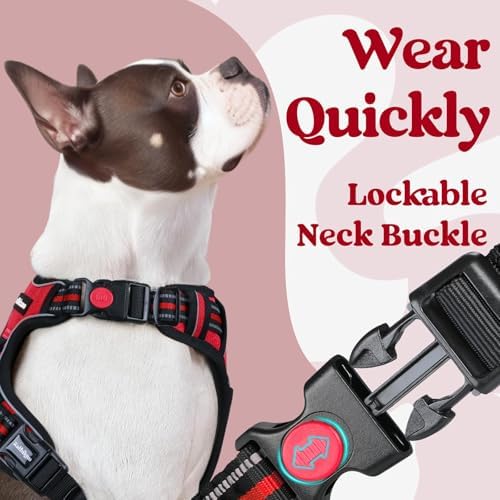 rabbitgoo Dog Harness for Large, Updated Easy On & Off - Image 2