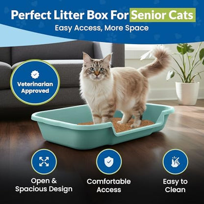 KittyGoHere Senior Cat Litter Box, Large - Image 2