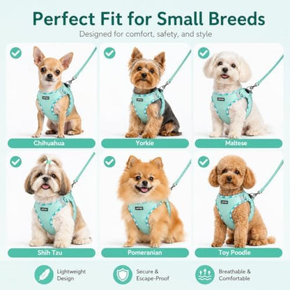 AMTOR Small Dog Harness with Leash Set, No Escape Easy Walk Puppy Harnesses - Image 5