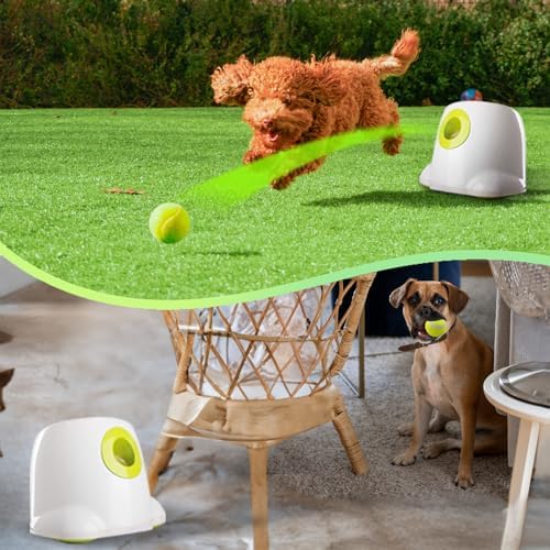 ALL FOR PAWS Automatic Dog Ball Launcher, Interactive Fetch Toy for Small to - Image 2