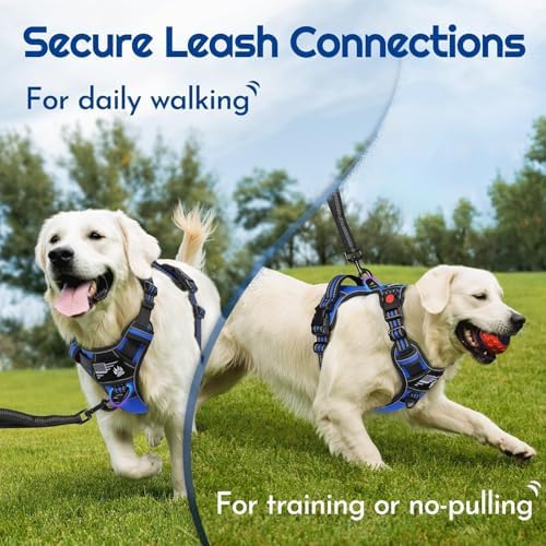 Eagloo Dog Harness No Pull for Medium Dogs, Easy On & Off - Image 4