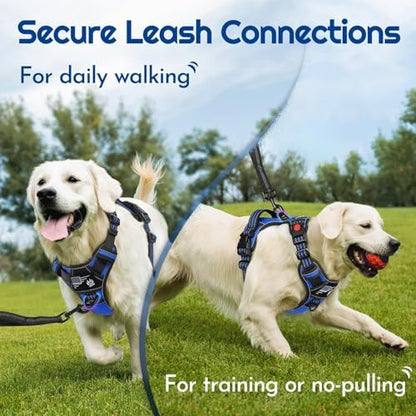 Eagloo Dog Harness No Pull for Small Dogs, Easy On & Off - Image 4