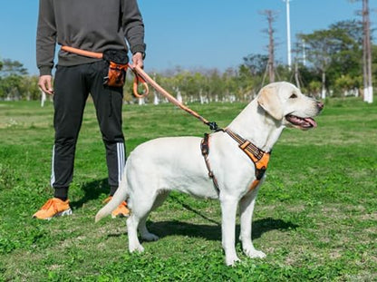 TRUE LOVE Adjustable No-Pull Dog Harness Reflective Vest - Image 6