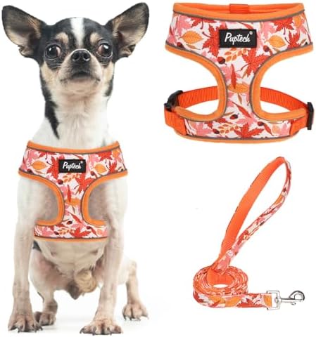 PUPTECK Fall Dog Harness and Leash Set No Pull Small Sized Dogs Puppy by PUPTECK