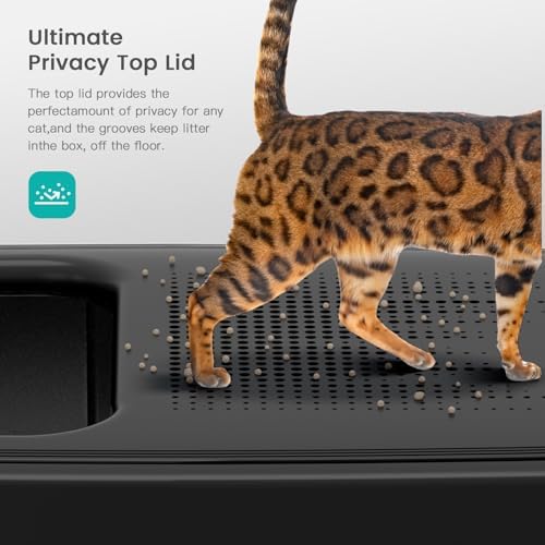 XL Stainless Steel Cat Litter Box - Image 3